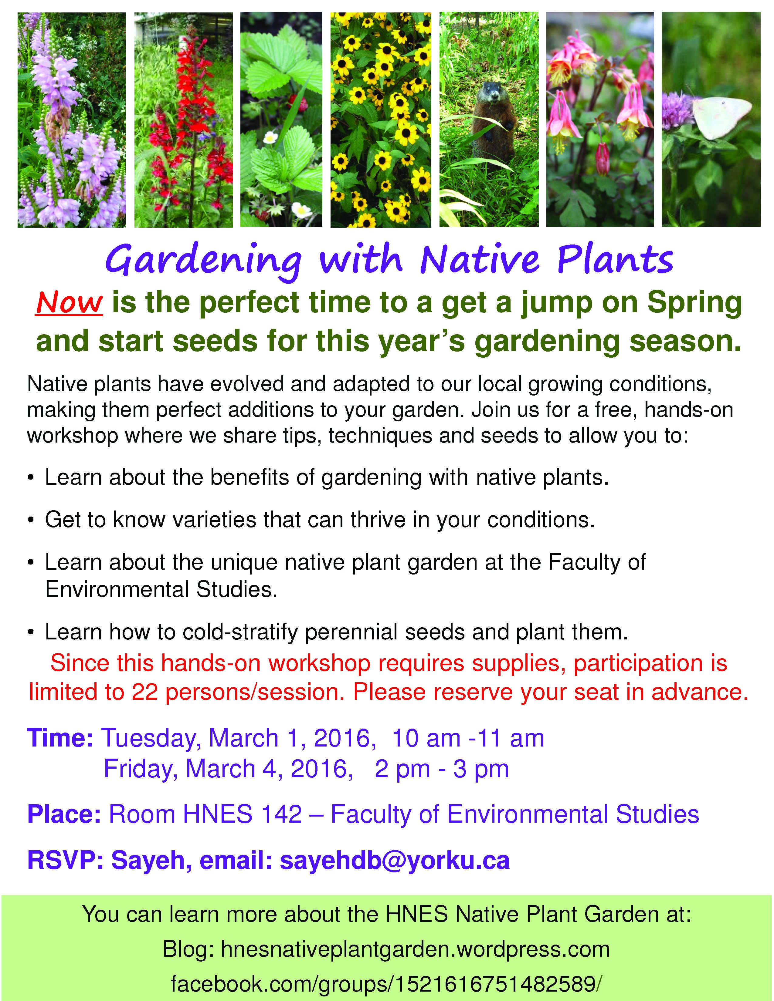 native garden poster
